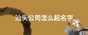 汕頭公司怎么起名字