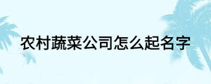 農(nóng)村蔬菜公司怎么起名字