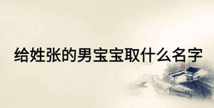 給姓張的男寶寶取什么名字
