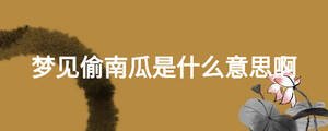 夢見偷南瓜是什么意思啊