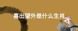 喜出望外是什么生肖