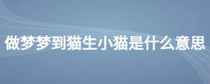 做夢夢到貓生小貓是什么意思