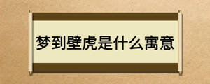 夢到壁虎是什么寓意