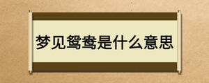 夢見鴛鴦是什么意思