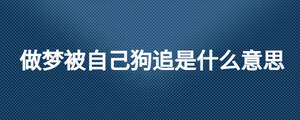 做夢被自己狗追是什么意思