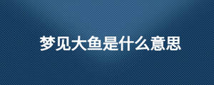 夢見大魚是什么意思