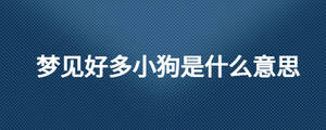 夢(mèng)見(jiàn)好多小狗是什么意思
