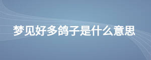 夢見好多鴿子是什么意思