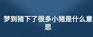 夢到豬下了很多小豬是什么意思