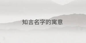 知言名字的寓意