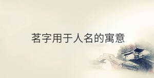 傳統(tǒng) - 2022-08-24T094939.474.jpg