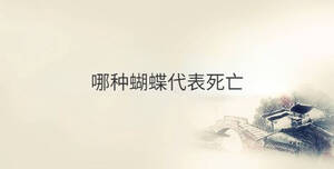 傳統 - 2022-11-12T095423.396.jpg