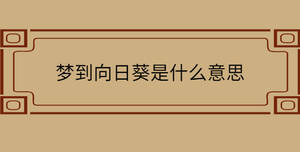 自創(chuàng) - 2022-11-12T103536.139.jpg
