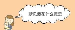 寶寶取名 - 2023-02-04T131500.285.jpg