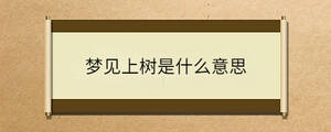 問答 - 2023-07-05T112821.875.jpg