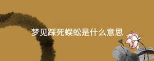 起名 - 2023-09-08T152641.529.jpg